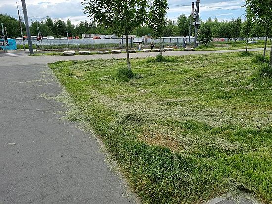 Уродливый газон в Санкт-Петербурге